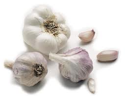 garlic